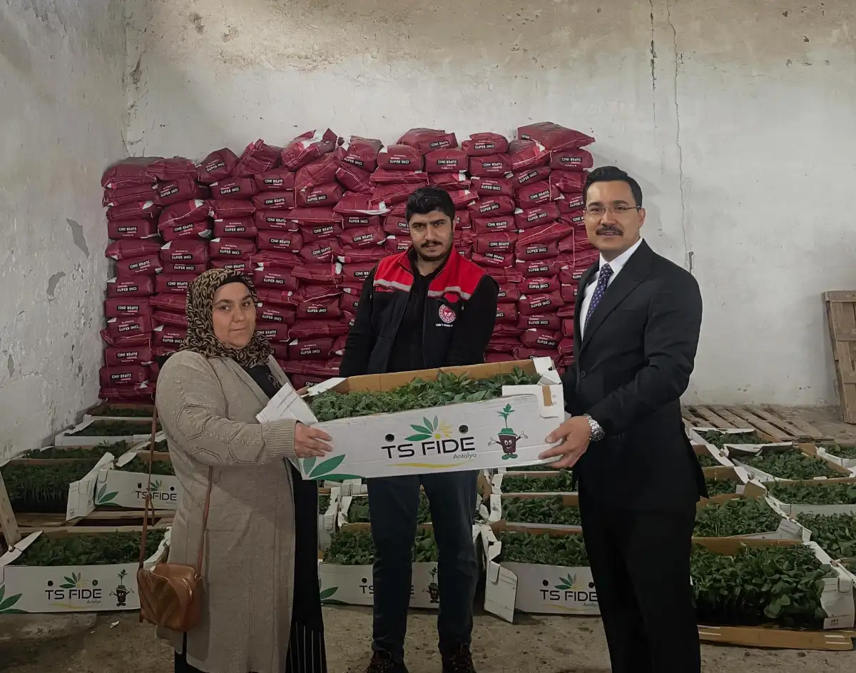 Akyaka’da çiftçilere destek: 53 üreticiye %75 hibeli fide dağıtıldı